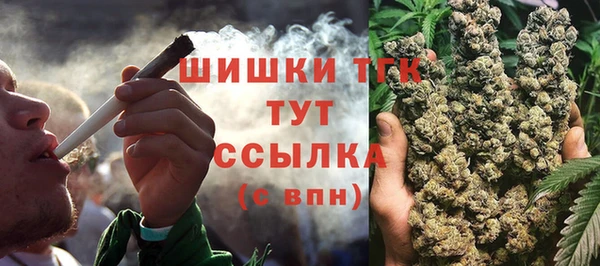 МДПВ Володарск